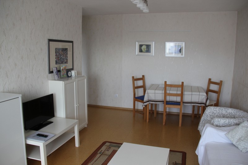 Das Wohnzimmer unserer 2(/3)-Zimmer-Ferienwohnung